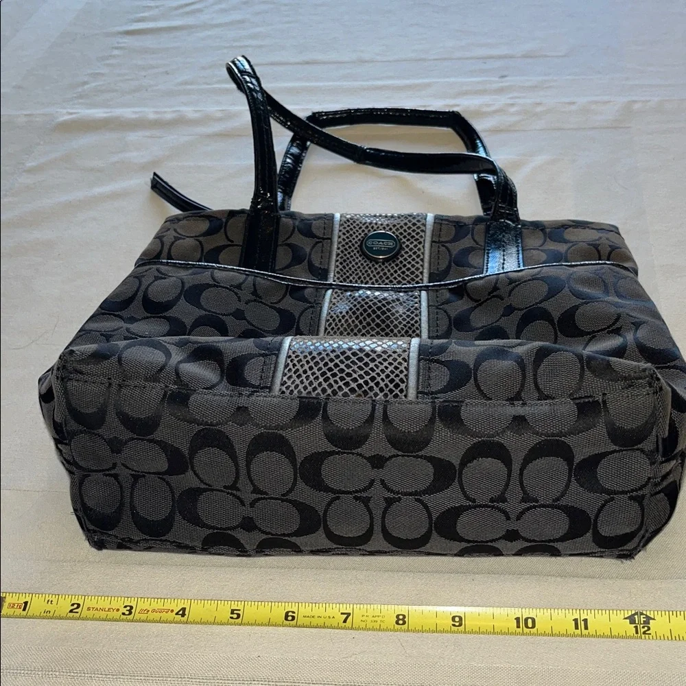 Coach Signature Python Stripe Tote Shoulder Canvas Bag (H1360 - F25706)